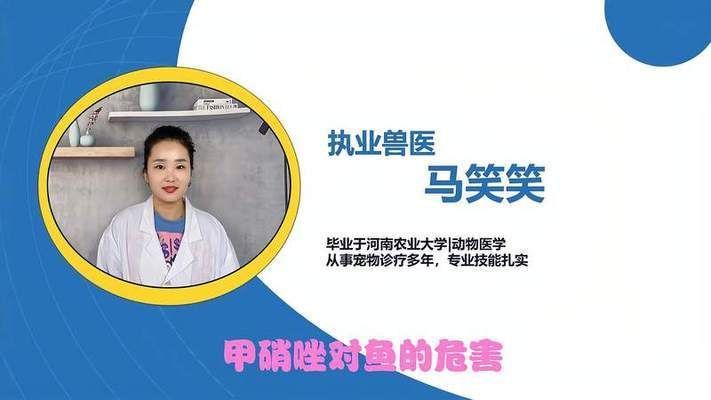 甲硝唑對銀龍魚有傷害嗎vs祥龍魚場：甲硝唑對銀龍魚和祥龍魚場影響的研究
