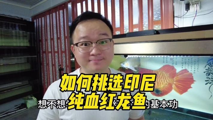怎樣讓泥鰍在水里不亂跑，科學養殖與行為控制方法