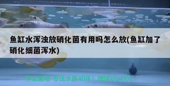 魚(yú)缸的尺寸價(jià)格圖片大全圖解（魚(yú)缸的尺寸價(jià)格圖片大全圖解視頻）