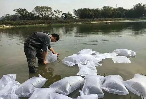 怎么判斷魚缸里有硝化細菌，全面指南