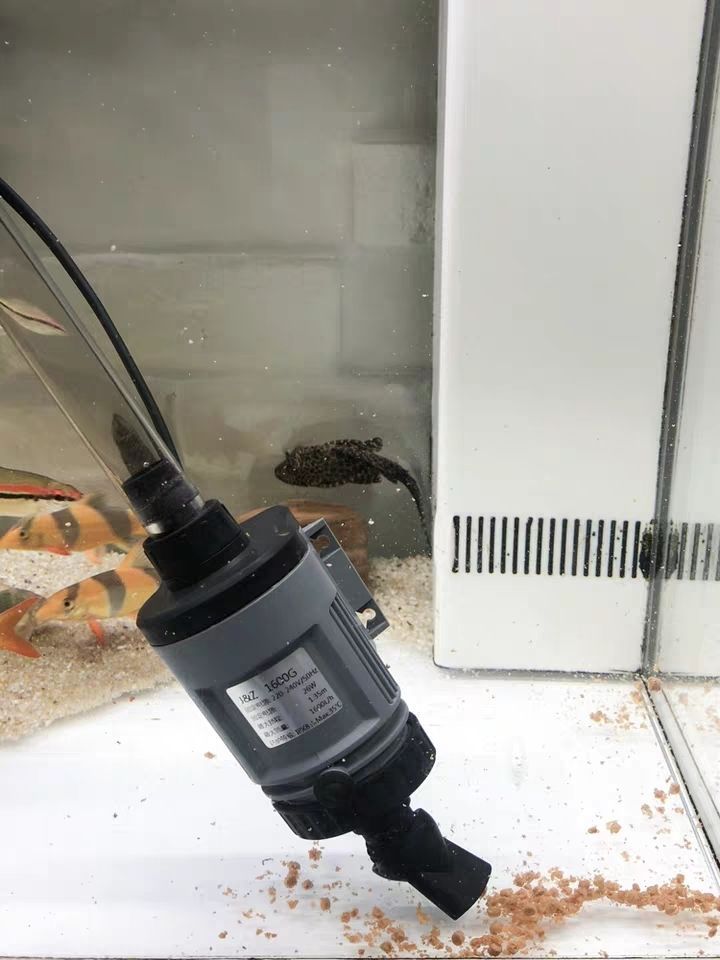 哪家魚缸過濾好用又實惠又好用（ 哪個牌子魚缸過濾好）