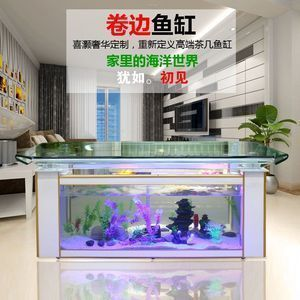 魚(yú)缸的用處，魚(yú)缸diy創(chuàng)意改造方法實(shí)驗(yàn)室使用魚(yú)缸儲(chǔ)存食物安全嗎 魚(yú)缸的用處，魚(yú)缸diy創(chuàng)意改造方法實(shí)驗(yàn)室使用魚(yú)缸儲(chǔ)存食物安全嗎 魚(yú)缸百科 第5張