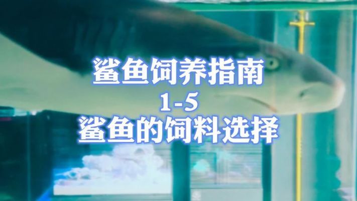 玉魚龍，中國古代文化中的神秘象征與歷史典故