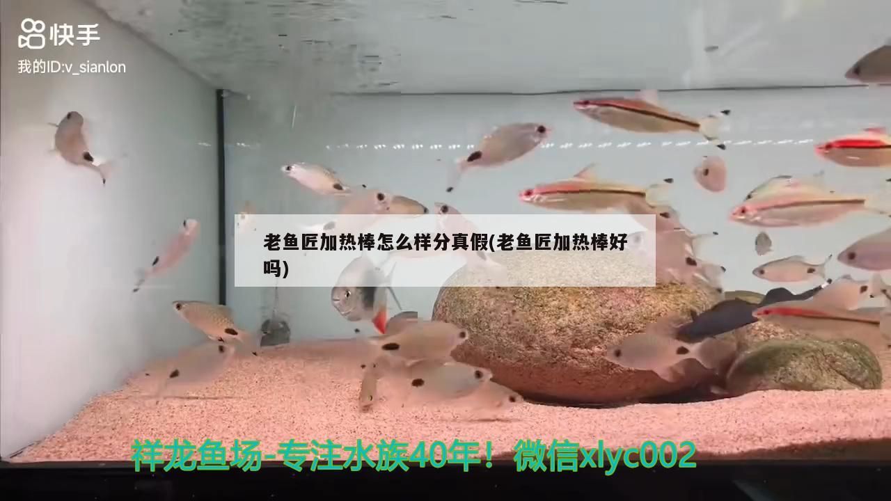 老魚匠加熱棒怎么樣分真假(老魚匠加熱棒好嗎)