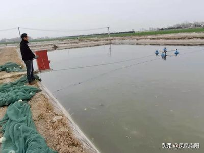 詳細(xì)閱讀:廣州觀賞魚(yú)養(yǎng)殖基地有哪些地方在建(關(guān)于廣州觀賞魚(yú)養(yǎng)殖基地在建的信息) 廣州觀賞魚(yú)養(yǎng)殖基地有哪些地方在建(關(guān)于廣州觀賞魚(yú)養(yǎng)殖基地在建的信息)