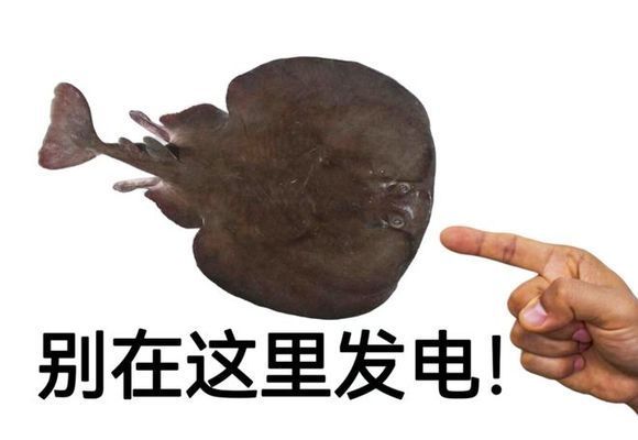 魚嘴朝哪里最吉利？揭秘風水布局中的魚口朝向奧秘