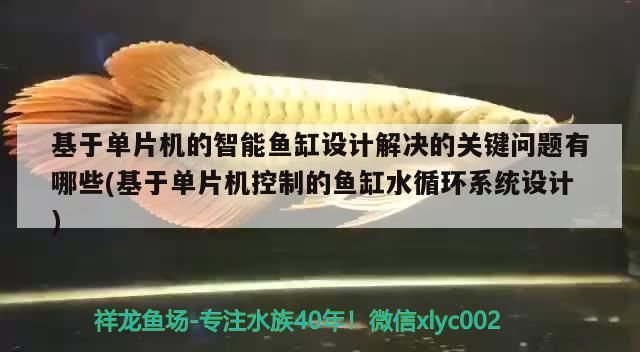 基于單片機的智能魚缸設計解決的關鍵問題有哪些(基于單片機控制的魚缸水循環系統設計)