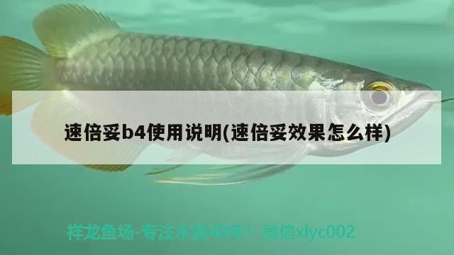 速倍妥b4使用說明(速倍妥效果怎么樣)