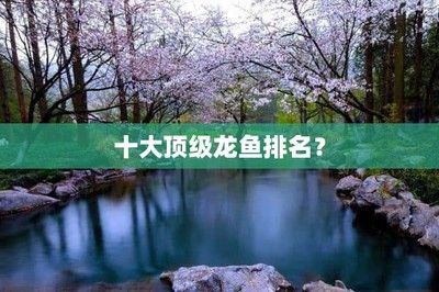 戰(zhàn)船招財(cái)魚能和龍魚一起養(yǎng)嗎視頻：戰(zhàn)船招財(cái)魚與龍魚混養(yǎng)之探究
