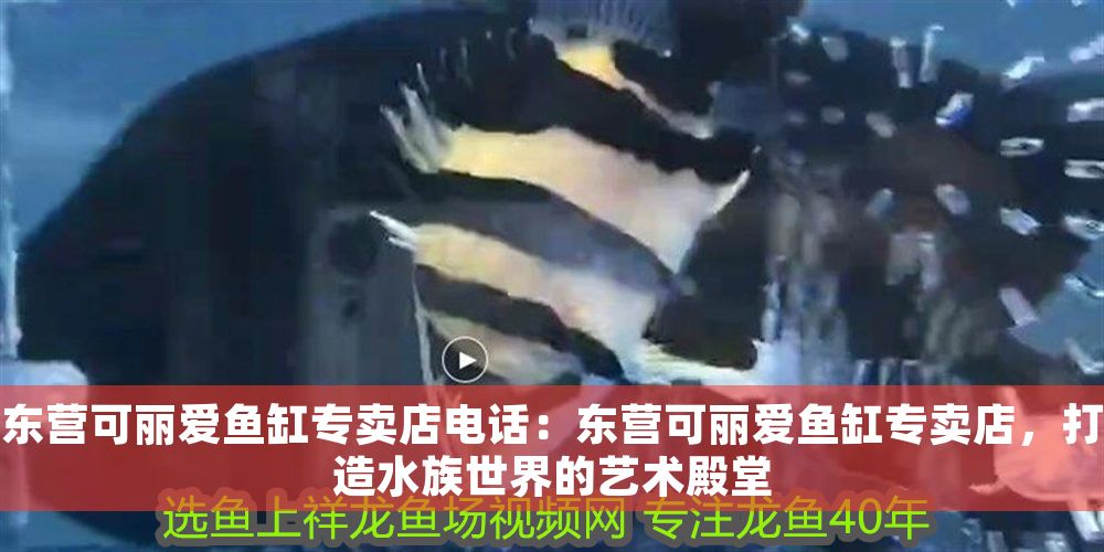 東營可麗愛魚缸專賣店電話：東營可麗愛魚缸專賣店，打造水族世界的藝術殿堂
