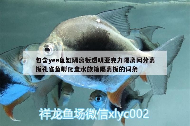 包含yee魚缸隔離板透明亞克力隔離網分離板孔雀魚孵化盒水族箱隔離板的詞條 包含yee魚缸隔離板透明亞克力隔離網分離板孔雀魚孵化盒水族箱隔離板的詞條 yee