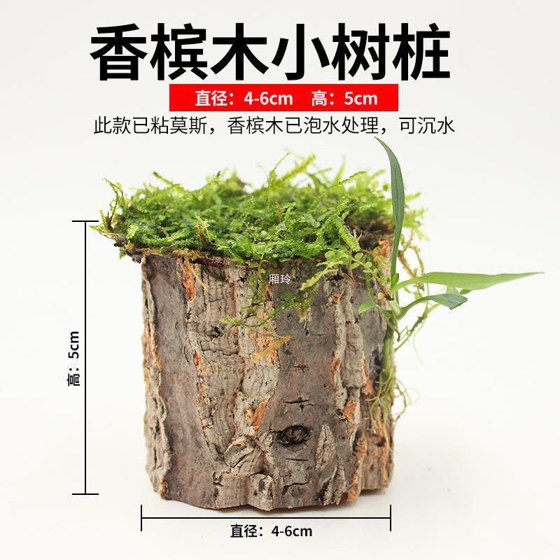 魚招財(cái)?shù)木渥樱⒁饧椋?cái)源滾滾