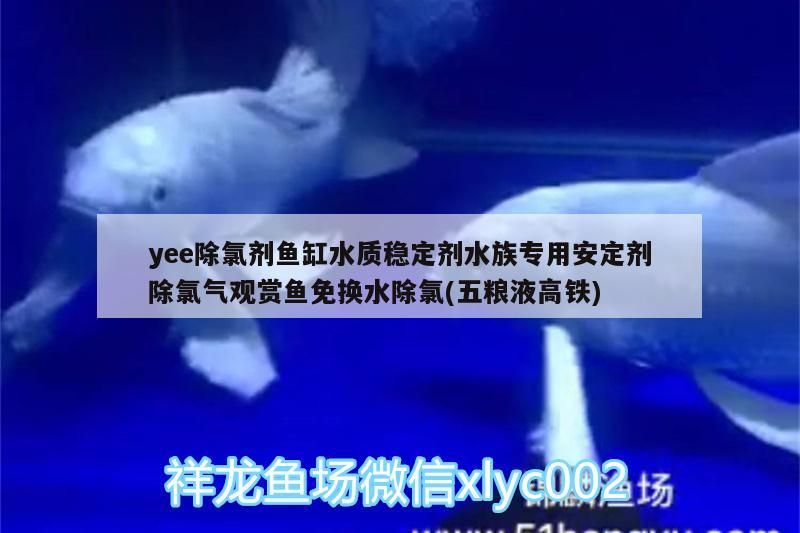yee除氯劑魚缸水質穩定劑水族專用安定劑除氯氣觀賞魚免換水除氯(五糧液高鐵) yee除氯劑魚缸水質穩定劑水族專用安定劑除氯氣觀賞魚免換水除氯(五糧液高鐵) yee