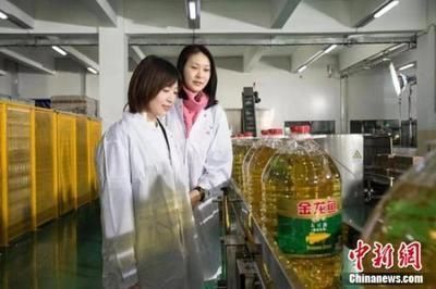 龍魚鱗片壞了怎么辦vs祥龍魚場：龍魚鱗片損壞原因、修復方法以及更換過程中需要注意的事項