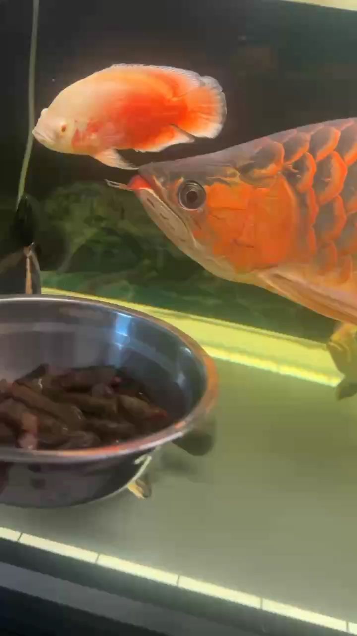 開餐