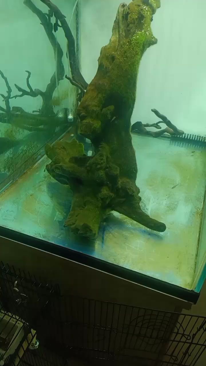 效果還行