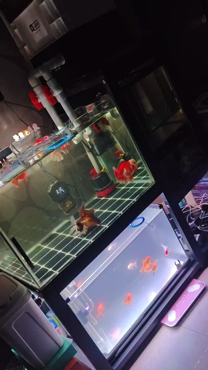 魚缸