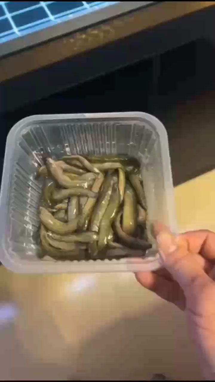 一次又一次的教訓偏偏不信，不可能喂泥鰍魚會死