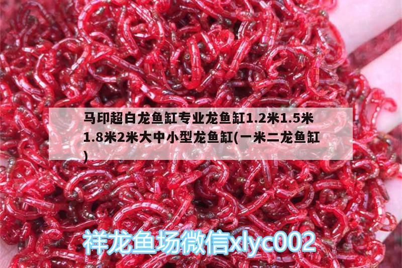 馬印超白龍魚缸專業龍魚缸1.2米1.5米1.8米2米大中小型龍魚缸(一米二龍魚缸) 馬印超白龍魚缸專業龍魚缸1.2米1.5米1.8米2米大中小型龍魚缸(一米二龍魚缸) 馬印水族