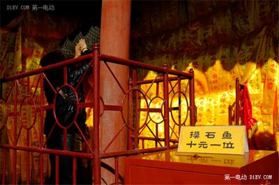 怎樣治療龍魚掉眼淚的病：龍魚掉眼淚的治療攻略，守護水中貴族的健康