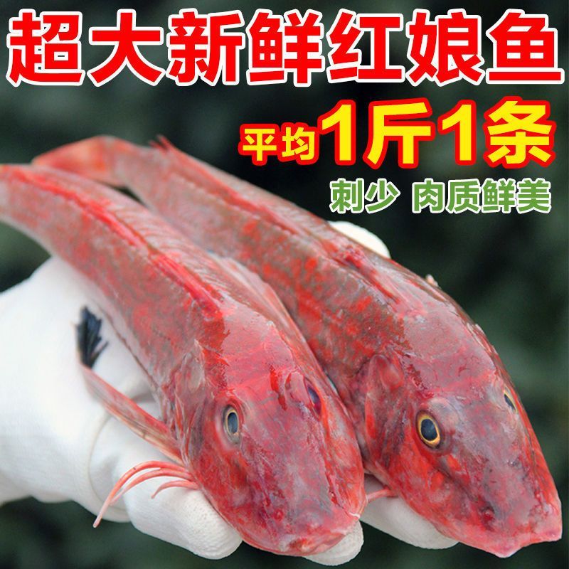 紅頭魚觀賞魚（紅頭魚是一種常見的食用魚品種紅頭魚的養(yǎng)殖技巧） 紅頭魚觀賞魚（紅頭魚是一種常見的食用魚品種紅頭魚的養(yǎng)殖技巧） 新加坡三巴旺 第2張