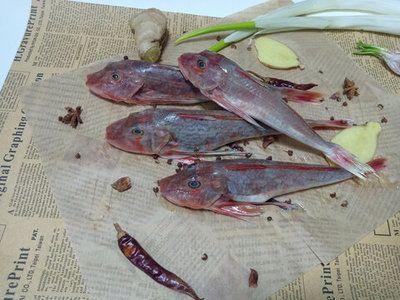 紅頭魚觀賞魚（紅頭魚是一種常見的食用魚品種紅頭魚的養(yǎng)殖技巧） 紅頭魚觀賞魚（紅頭魚是一種常見的食用魚品種紅頭魚的養(yǎng)殖技巧） 新加坡三巴旺 第3張