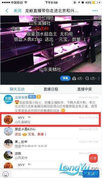 龍巔直播北京和興龍魚貿(mào)易前10名中獎(jiǎng)情況