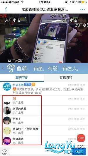 龍巔直播北京和興龍魚貿易前10名中獎情況 龍巔直播北京和興龍魚貿易前10名中獎情況 和興紅龍 第14張