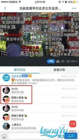 龍巔直播北京和興龍魚貿易前10名中獎情況 龍巔直播北京和興龍魚貿易前10名中獎情況 和興紅龍 第15張