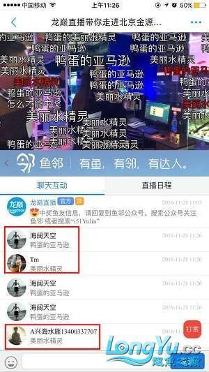 龍巔直播北京和興龍魚貿易前10名中獎情況 龍巔直播北京和興龍魚貿易前10名中獎情況 和興紅龍 第16張