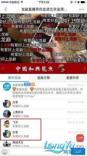 龍巔直播北京和興龍魚貿易前10名中獎情況 龍巔直播北京和興龍魚貿易前10名中獎情況 和興紅龍 第17張