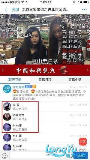 龍巔直播北京和興龍魚貿易前10名中獎情況 龍巔直播北京和興龍魚貿易前10名中獎情況 和興紅龍 第18張