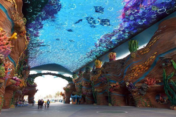 水族館靠什么賺錢的呢（水族館市場競爭優勢分析：水族館市場競爭優勢分析） 水族館靠什么賺錢的呢（水族館市場競爭優勢分析：水族館市場競爭優勢分析） 水族館百科（水族館加盟） 第2張