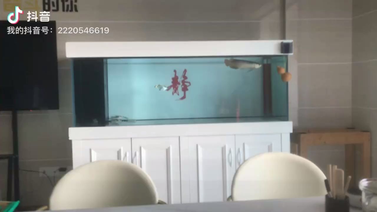 早起看魚