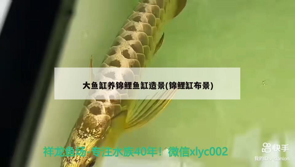 大魚缸養(yǎng)錦鯉魚缸造景(錦鯉缸布景) 大魚缸養(yǎng)錦鯉魚缸造景(錦鯉缸布景) iwish愛唯希品牌魚缸