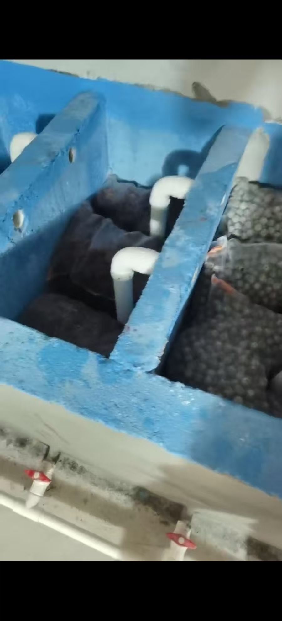 我的魚池建成記 龍魚論壇 第11張 我的魚池建成記 我的魚池建成記 龍魚論壇 第11張