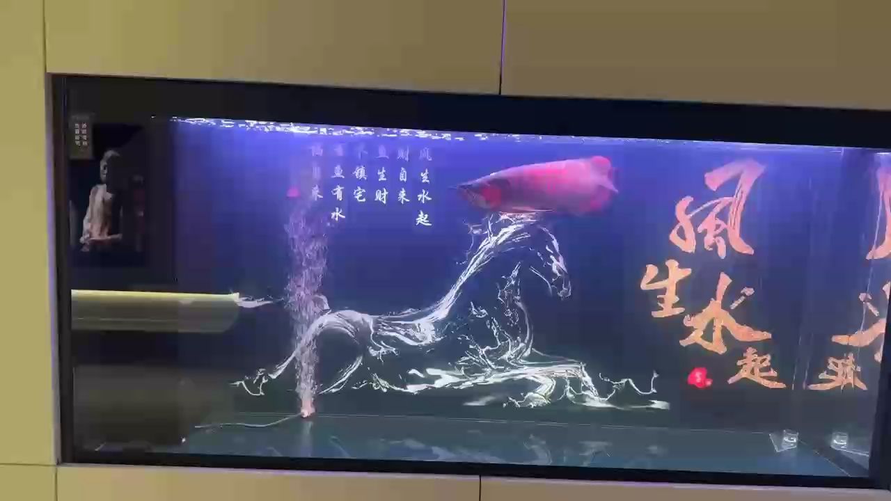 掉了兩片鱗