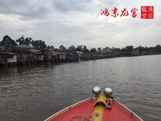鴻京龍宮紅龍魚(yú)怎么樣：鴻京龍宮紅龍魚(yú)市場(chǎng)價(jià)格對(duì)比鴻京龍宮紅龍魚(yú)市場(chǎng)價(jià)格對(duì)比 鴻京龍宮紅龍魚(yú)怎么樣：鴻京龍宮紅龍魚(yú)市場(chǎng)價(jià)格對(duì)比鴻京龍宮紅龍魚(yú)市場(chǎng)價(jià)格對(duì)比 紅龍魚(yú)百科 第4張