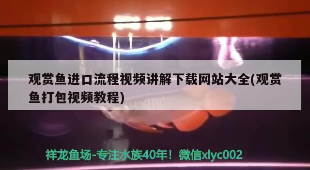 昂昂溪區魚你有緣觀賞魚店 昂昂溪區魚你有緣觀賞魚店 全國水族館企業名錄 第2張