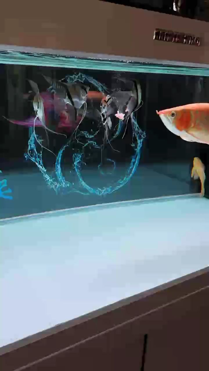 4歲