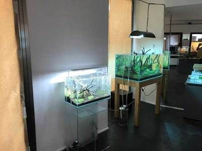 水族館加盟店有哪些好:水族館加盟品牌及其詳細(xì)信息:水族館加盟品牌及其詳細(xì)信息