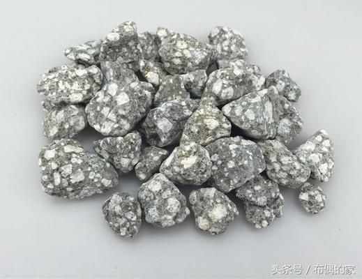 怎樣挑選金龍魚視頻教程：怎樣挑選金龍魚視頻，開啟觀賞魚飼養的精彩之旅