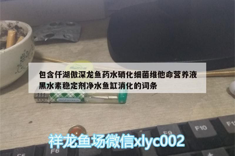 包含仟湖傲深龍魚藥水硝化細(xì)菌維他命營養(yǎng)液黑水素穩(wěn)定劑凈水魚缸消化的詞條