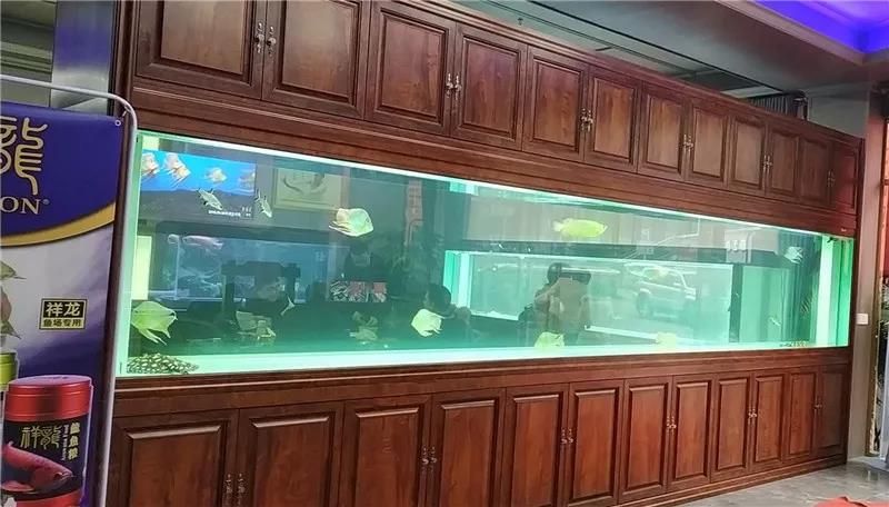 祥龍魚場介紹