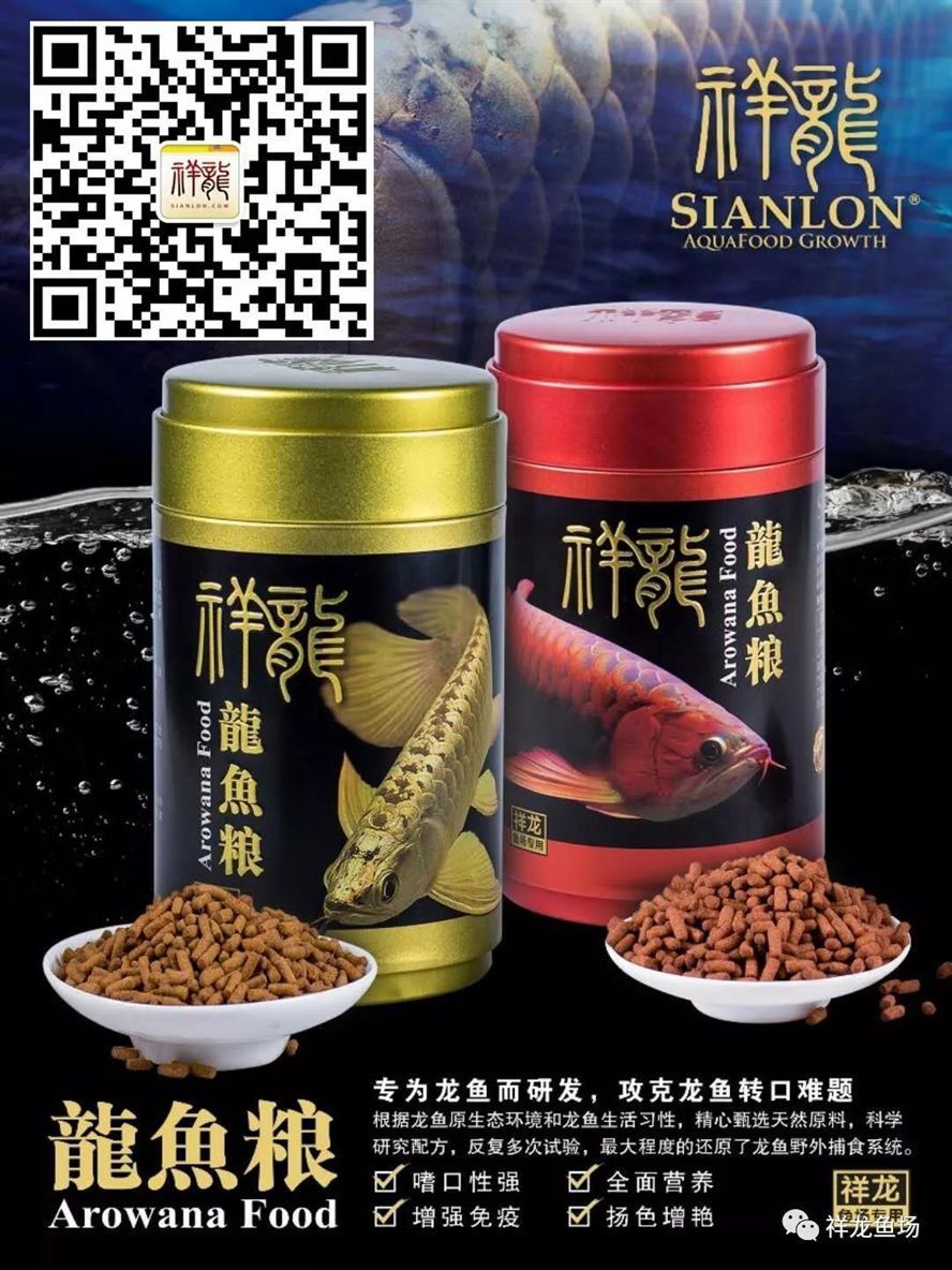 祥龍魚場介紹