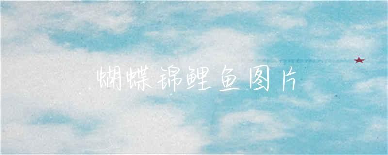 蝴蝶鯉品種圖片(蝴蝶鯉的種類及種類) 蝴蝶鯉百科 第2張 蝴蝶鯉品種圖片(蝴蝶鯉的種類及種類) 蝴蝶鯉品種圖片(蝴蝶鯉的種類及種類) 蝴蝶鯉百科 第2張