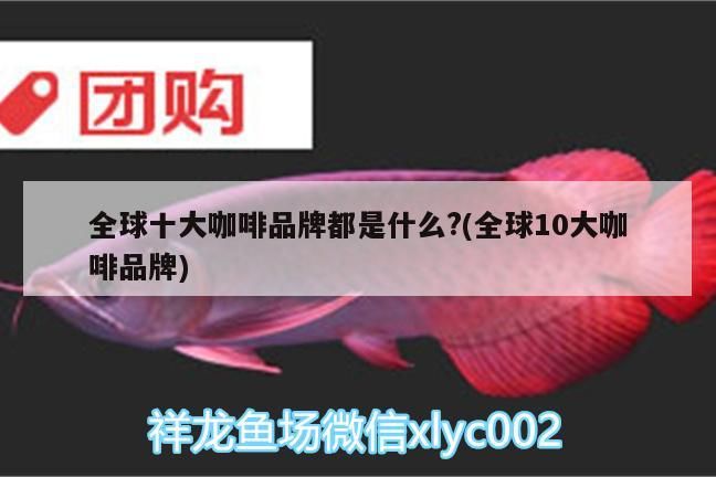 全球十大咖啡品牌都是什么?(全球10大咖啡品牌) 全球十大咖啡品牌都是什么?(全球10大咖啡品牌) 馬來西亞咖啡