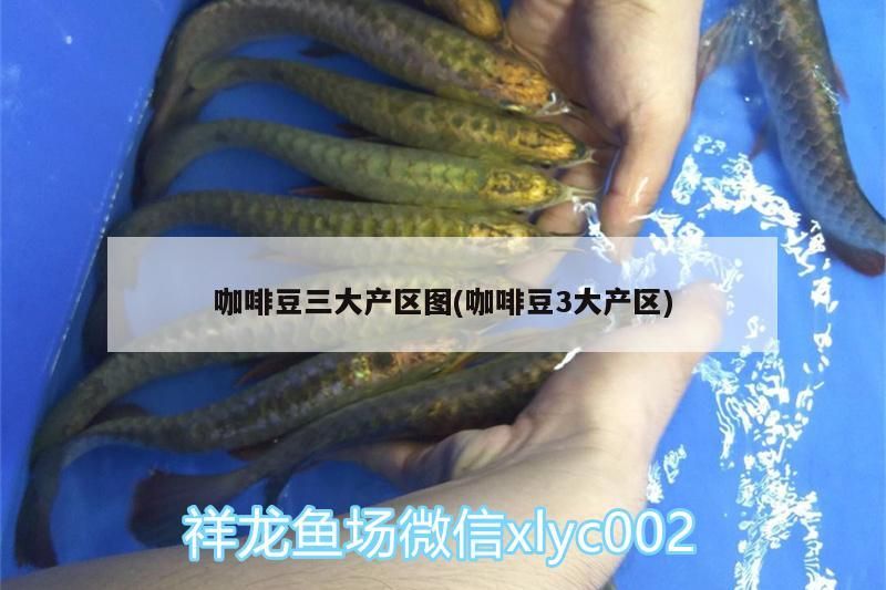 咖啡豆三大產區圖(咖啡豆3大產區)