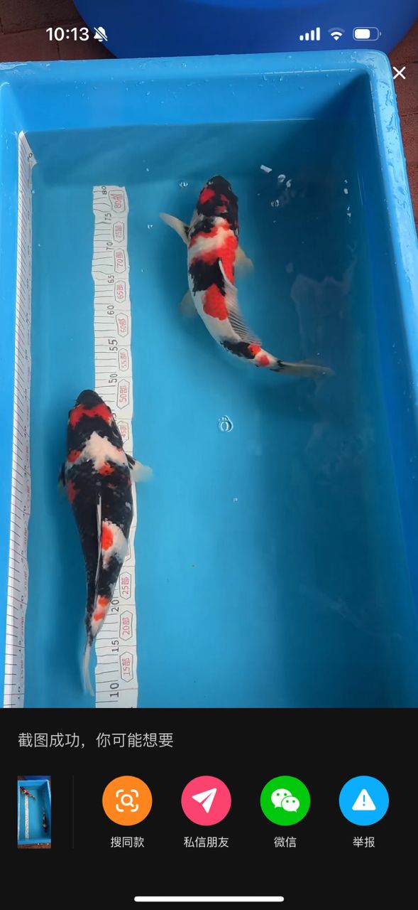剛剛?cè)氲拇笕照押?200米
