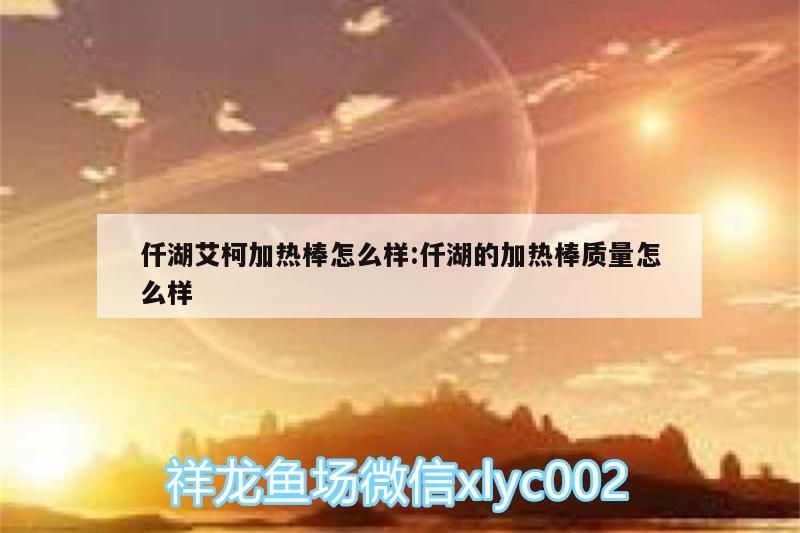 仟湖艾柯加熱棒怎么樣:仟湖的加熱棒質量怎么樣